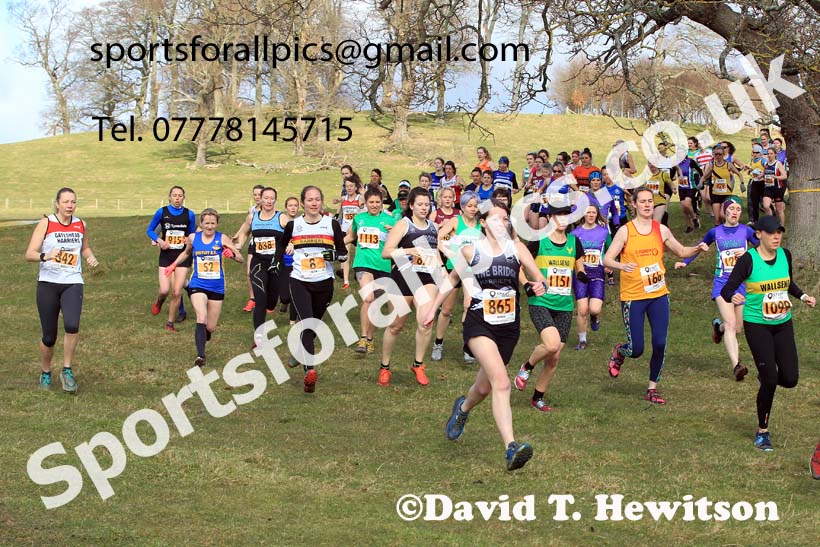 Senior womens 2022 Start Fitness NEHL, Alnwick, Northumberland. Photo: David T. Hewitson/Sports for All Pics